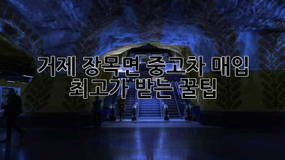 거제 장목면 중고차 매입, 최고가 받는 꿀팁🍯
